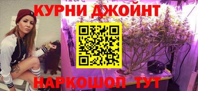 шишки Конаково